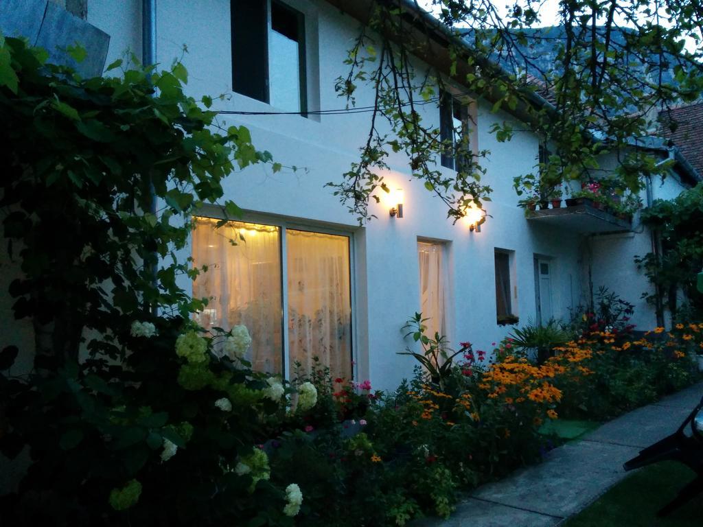 Pension Casa Anadam Baile Herculane Luaran gambar